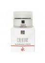 Creative Nourishing Cream For Normal Dry Skin Питательный крем 